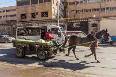 ALEXANDRIA, EGYPT - 2 Şubat 2019: İskenderiye, Mısır 'da bir sokakta at arabası
