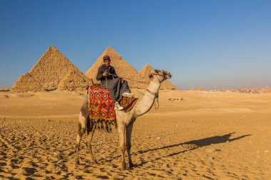CAIRO, EGYPT - 28 HAZİRAN 2019: Büyük Giza Piramitleri önünde deve binicisi