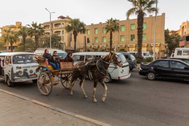 CAIRO, EGYPT - 28 HAZİRAN 2019: Giza, Mısır 'da bir at arabası