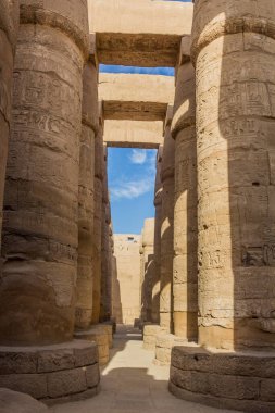 Mısır 'ın Karnak kentindeki Amun Tapınağı' ndaki Büyük Hypostyle Salonu 'nun sütunları.