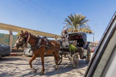 SOHAG, EGYPT: FEB 11, 2019: Horse carriage in Sohag, Egypt