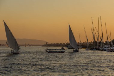 Evening view of felucca sail boats at the river Nile in Luxor, Egypt