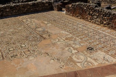 Kuzey Makedonya 'nın Bitola kenti yakınlarındaki Heraclea Lyncestis antik harabelerinde yer mozaikleri