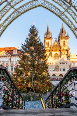 Çek Cumhuriyeti 'nin Prag kentindeki eski kasaba meydanında Tyn' dan önce bir Noel ağacı ve Meryem Kilisesi manzarası