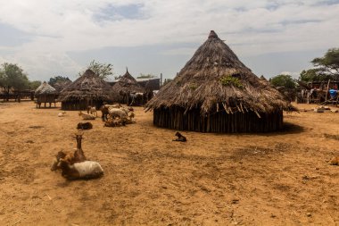 Etiyopya 'nın Omo Vadisi' ndeki Korcho köyünde kulübeler.