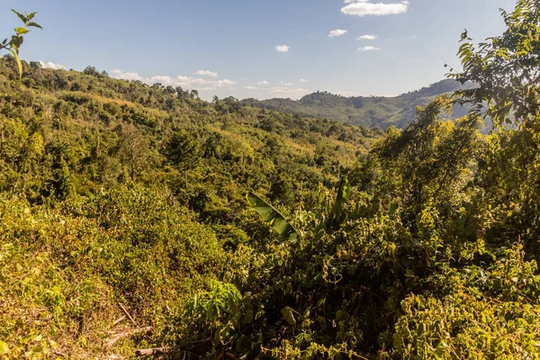 ラオスのルアンナムタ町近くの森の眺め — ストック写真