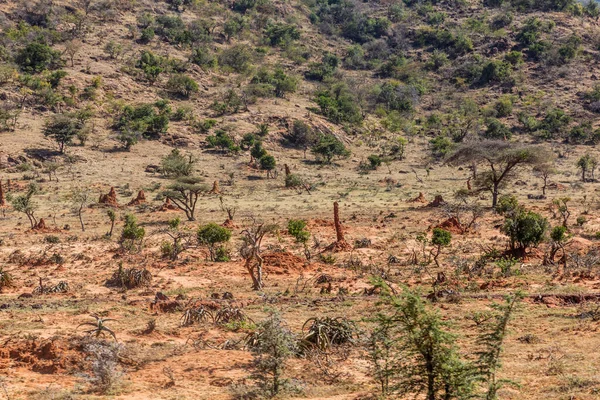 Landskap Med Termithögar Södra Etiopien — Stockfoto