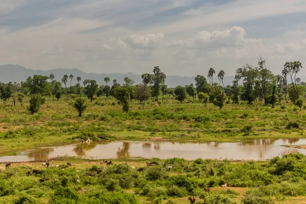 Landscape Omo Valley Ethiopia — Stock Photo, Image