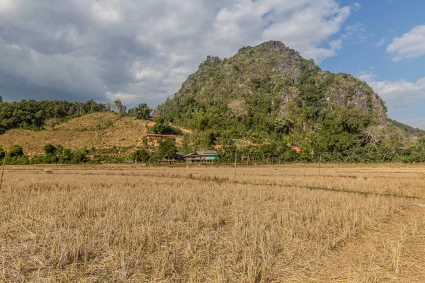 Сельский Пейзаж Возле Деревни Муанг Нгой Нойа Лаос — стоковое фото