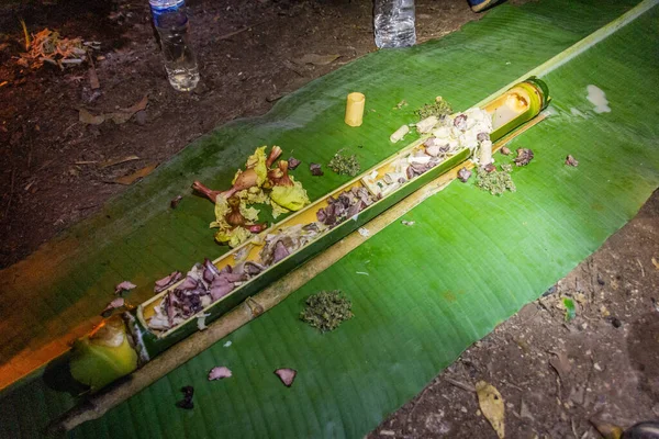 用竹子在老挝南下国家保护区的森林里吃肉 — 图库照片