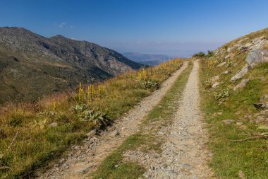 Kuzey Makedonya 'daki Pelister Ulusal Parkı' nda Yol