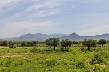 Omo Vadisi, Etiyopya