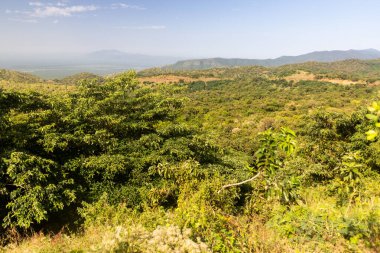 Mago Ulusal Parkı, Etiyopya