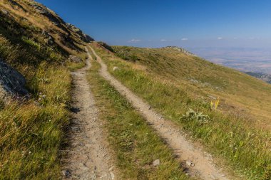 Kuzey Makedonya 'daki Pelister Ulusal Parkı' nda Yol
