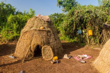 Etiyopya 'daki Mursi kabile köyünün kulübeleri