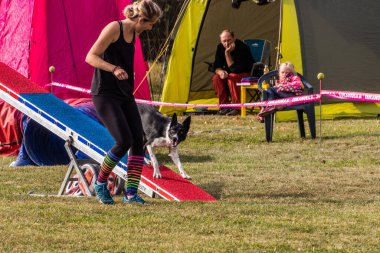 LYSA NAD LABEM, CZECH REPUBLIC - 26 Eylül 2021: Çek Cumhuriyeti Lysa nad Labem 'de çeviklik yarışması sırasında köpek ve bir idareci testere üzerinden koşuyorlar
