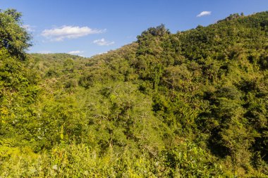 Nam Ha Ulusal Koruma Alanının manzarası, Laos
