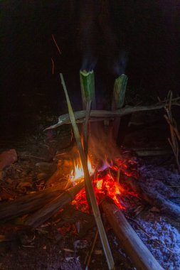 Bambu parçaları, Luang Namtha, Laos yakınlarındaki bir ormanda çorba olarak servis ediliyor.