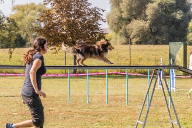 LYSA NAD LABEM, CZECH REUBLIC - 26 Eylül 2021: Çek Cumhuriyeti Lysa nad Labem 'de çeviklik yarışması sırasında köpek ve eğitmeni köpek yürüyüşü yapıyor