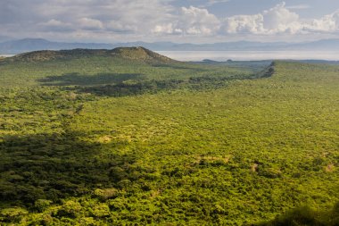 Etiyopya 'da Chamo Gölü ile Nechisar Milli Parkı' nın havadan görünüşü