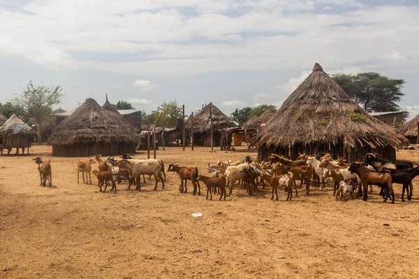 Kozy Wiosce Korcho Zamieszkane Przez Plemię Karo Etiopia — Zdjęcie stockowe