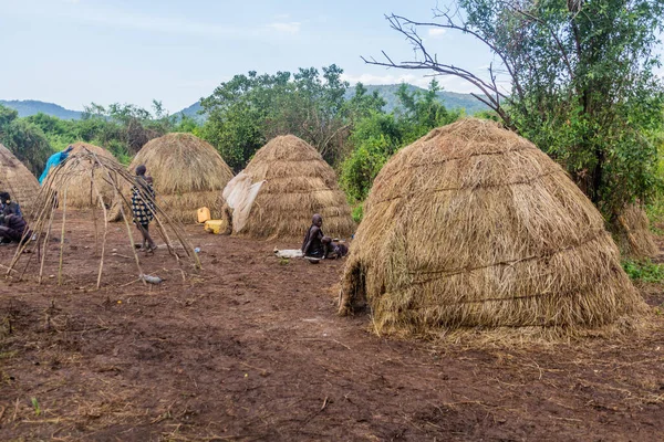 Omo Valley Ethiopia 2020年2月6日 エチオピア ムルシ族の村 — ストック写真