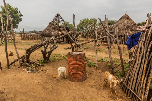 stock image Huts in Korcho village of Karo tribe, Ethiopia