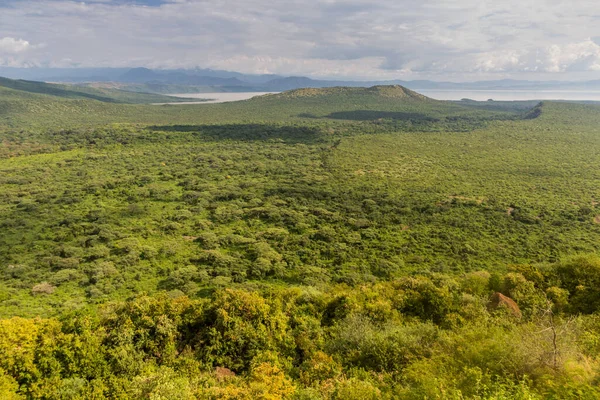 Vista Aérea Del Parque Nacional Nechisar Con Lago Chamo Etiopía — Foto de Stock