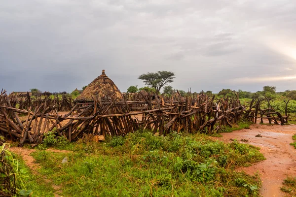Hut Village Hamer Tribe Turmi Ethiopia — Stock Photo, Image