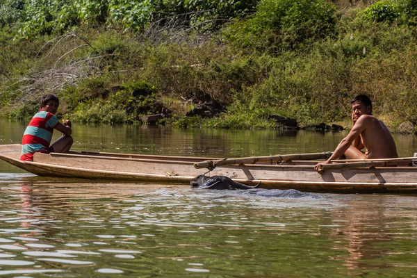 Nam Laos Noviembre 2019 Barco Con Búfalo Agua Río Nam —  Fotos de Stock
