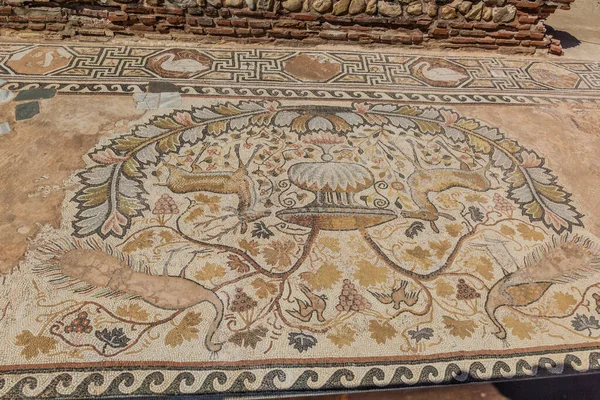 马其顿北部Bitola附近Heraclea Lyncestis古代遗址的楼层镶嵌画 — 图库照片