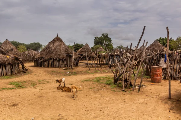 エチオピアのカロ族が住むコルチョ村の小屋 — ストック写真