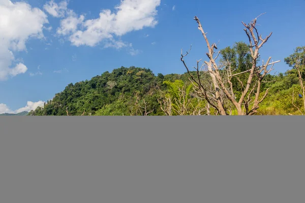 Dead trees due to increasing levels of Nam Ou river during Nam Ou 5 dam filling, Laos