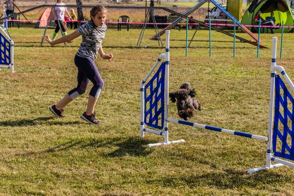 Lysa Nad Labem Czech Republic 2021年9月26日 チェコのLysa Nad Labemでの敏捷性競争の中 犬とハンドラーがハードルを飛び越える — ストック写真