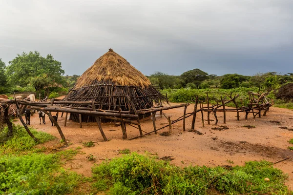 埃塞俄比亚图尔米附近Hamer部落的一个村庄的Hut — 图库照片
