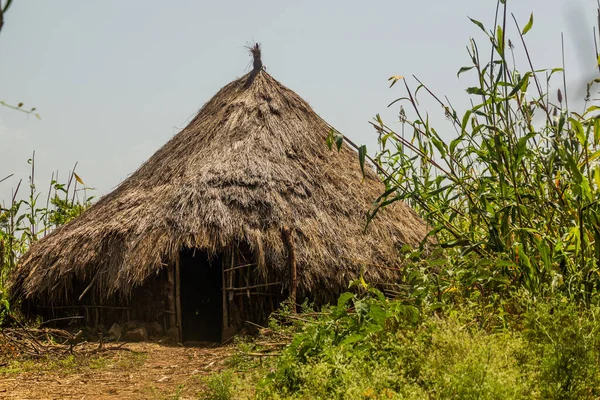 Pequena Cabana Perto Arba Minch Etiópia — Fotografia de Stock