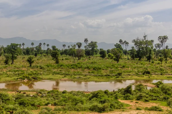 Landscape Omo Valley Ethiopia — Stock Photo, Image