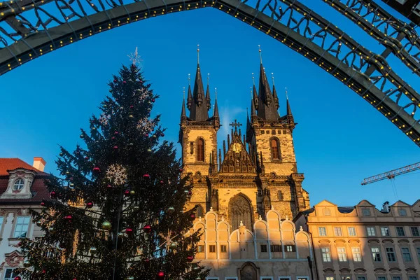 View Christmas Tree Church Our Lady Tyn Old Town Square — Stock Photo, Image