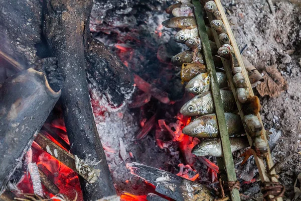 Small Fish Grilling Forest Luang Namtha Laos — Stock Photo, Image