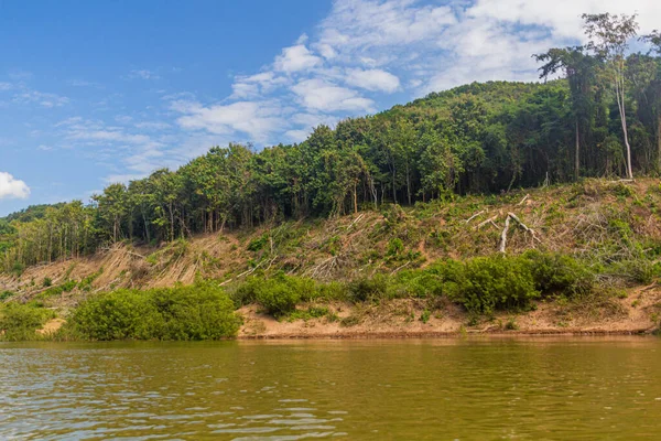 Δέντρα Αφαιρούνται Λόγω Της Αύξησης Των Επιπέδων Του Ποταμού Nam — Φωτογραφία Αρχείου