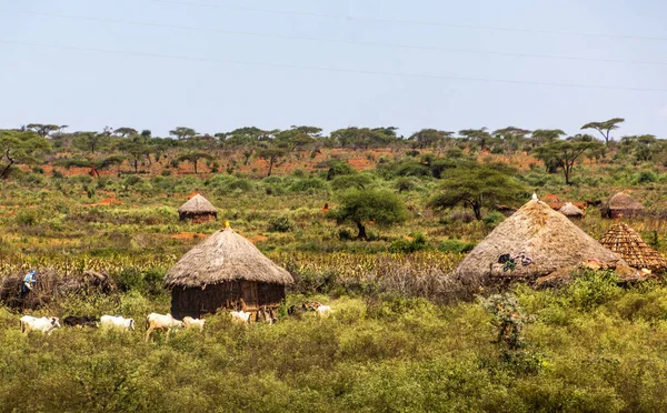 Etiyopya Nın Mega Kasabası Yakınlarındaki Küçük Bir Köy — Stok fotoğraf
