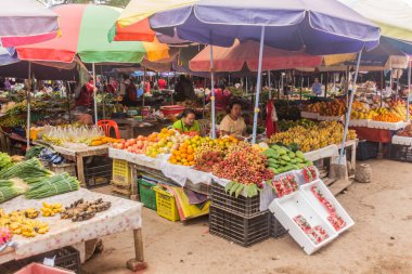 LUANG NAMTHA, LAOS - 15 Kasım 2019: Luang Namtha kasabasındaki marketin meyve bölümü, Laos