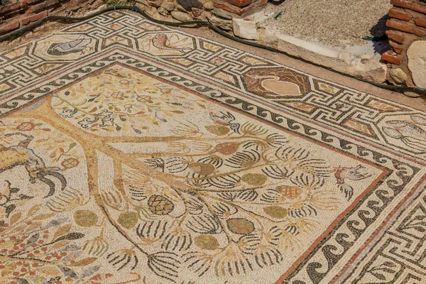 床のモザイクでヘラクレア リンセスティス北マケドニアのビトラ近くの古代遺跡 — ストック写真