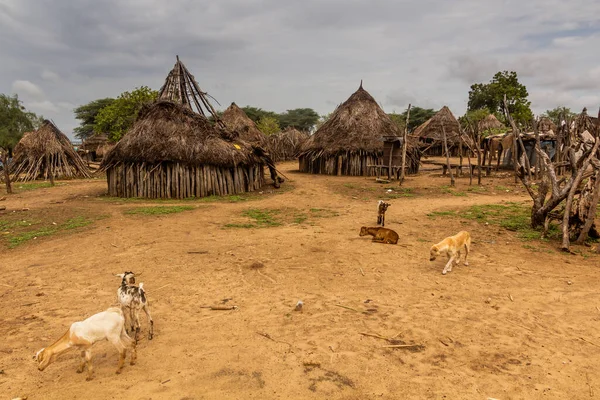 Karo Kabilesinin Yaşadığı Korcho Köyünün Kulübeleri Etiyopya — Stok fotoğraf