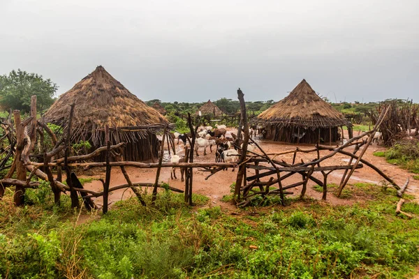 埃塞俄比亚图尔米附近Hamer部落一个村庄的棚屋 — 图库照片