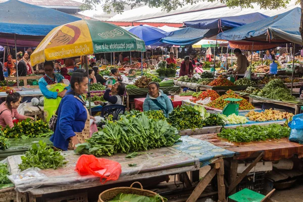 Luang Namtha Laos Listopad Listopad 2019 Część Warzywna Rynku Mieście — Zdjęcie stockowe