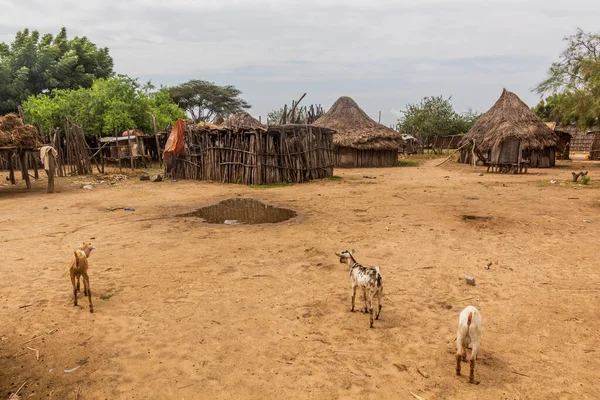 Karo Kabilesinin Yaşadığı Korcho Köyünün Kulübeleri Etiyopya — Stok fotoğraf