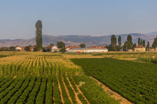 Paesaggio Rurale Della Macedonia Del Nord — Foto Stock