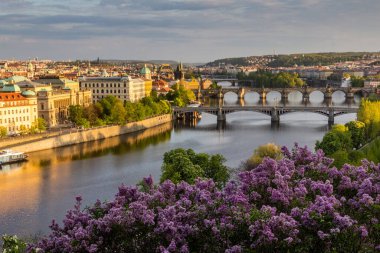 Çek Cumhuriyeti Prag 'daki Vltava nehri üzerindeki köprülerin hava manzarası