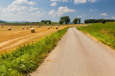 Çek Cumhuriyeti 'nin Kremze köyü yakınlarındaki kırsal alan